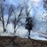 Smoke visible as CAL FIRE conducts prescribed burns near Pine Cove