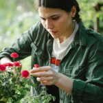 How to prepare for pruning season