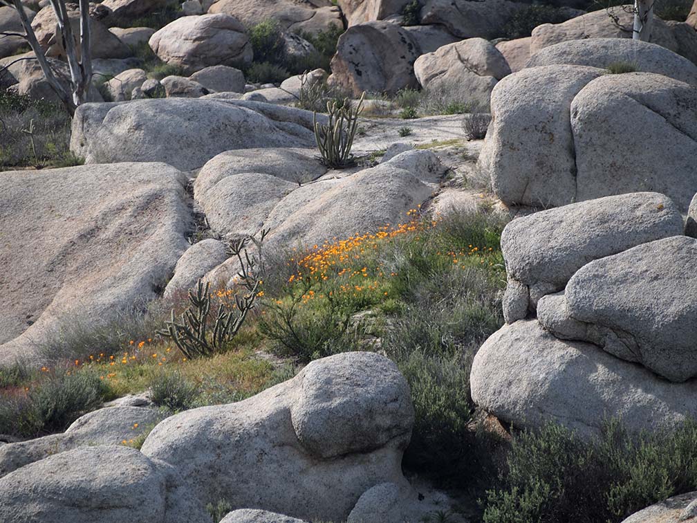 Californians invited to attend public webinars on the future of trails