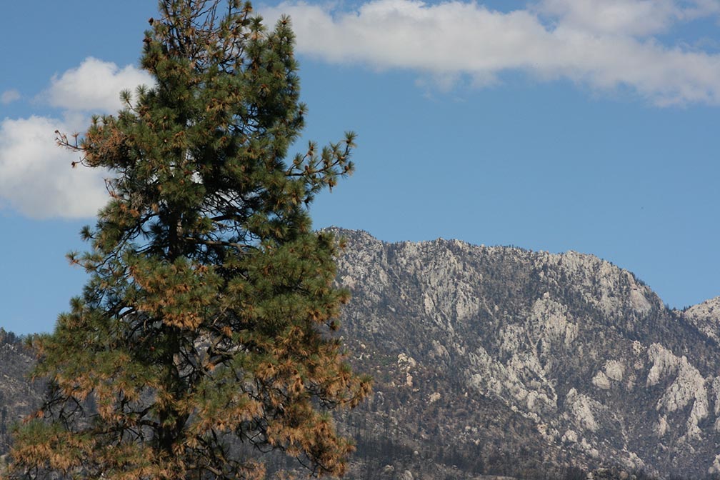 Knöppelåsen to host educational walk along the Pacific Crest Trail at Hwy. 74