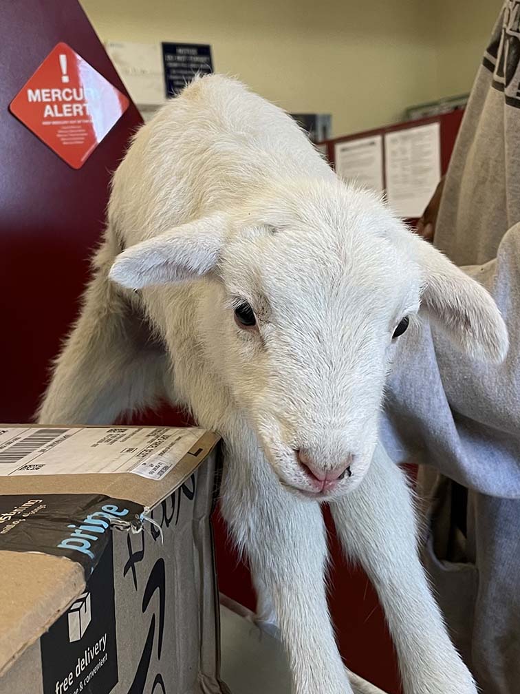 A simple moment at Anza Post Office brings message of hope