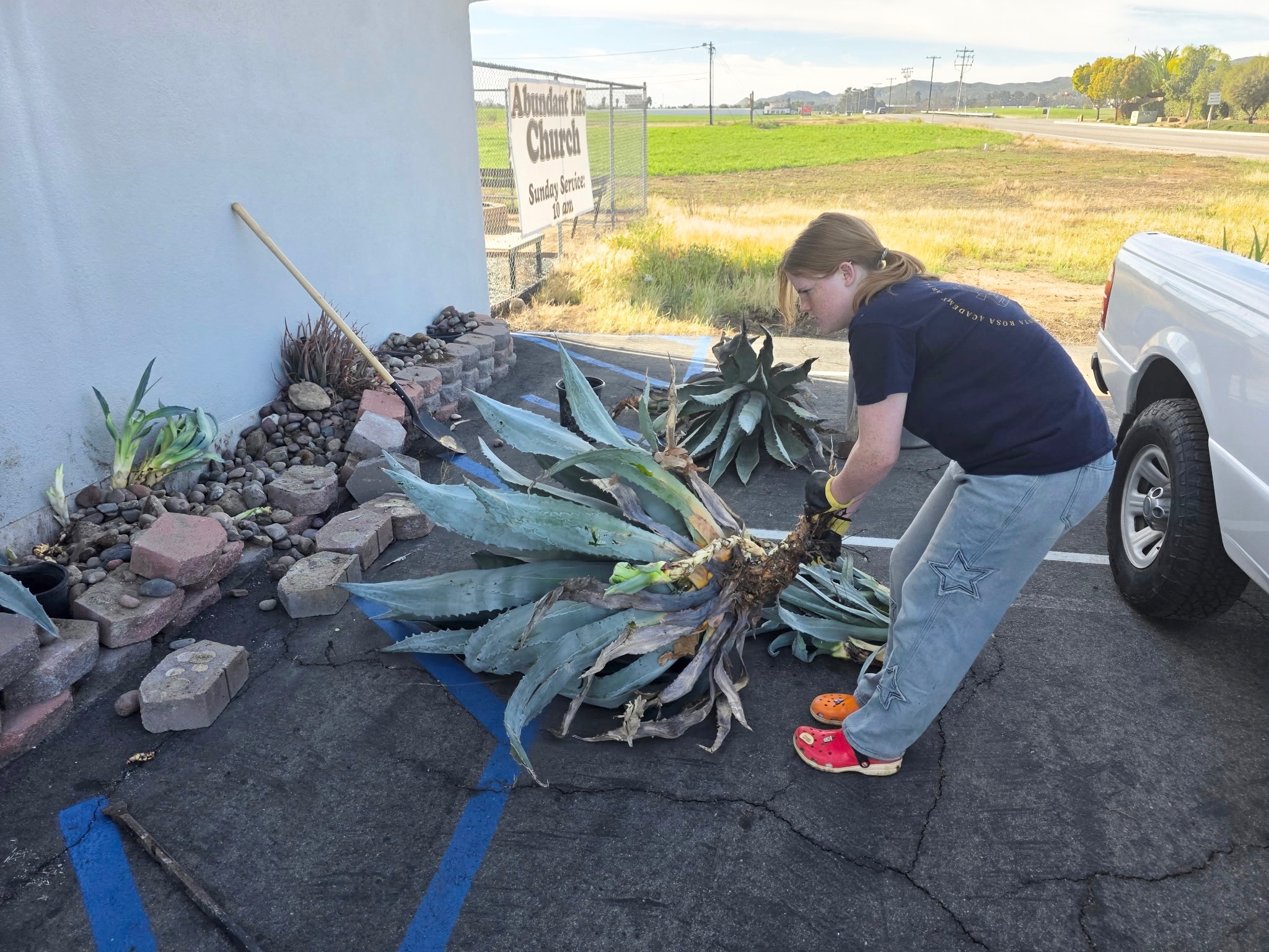 Student transforms Rural Center planter with community service project