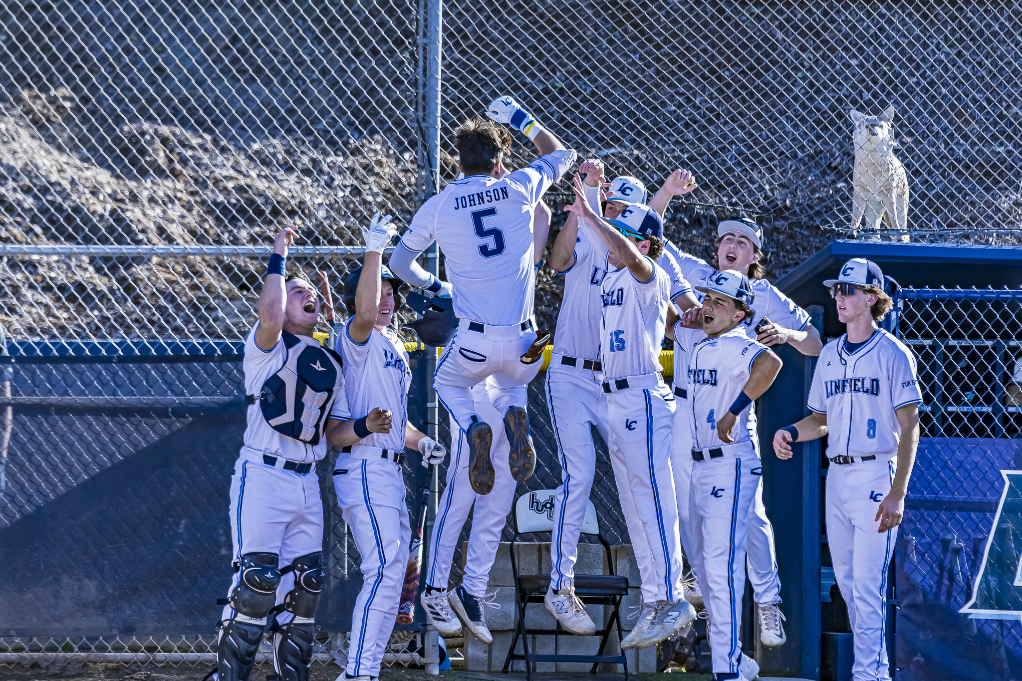 04-10-26-SPORTS-Linfield Baseball-photo-1