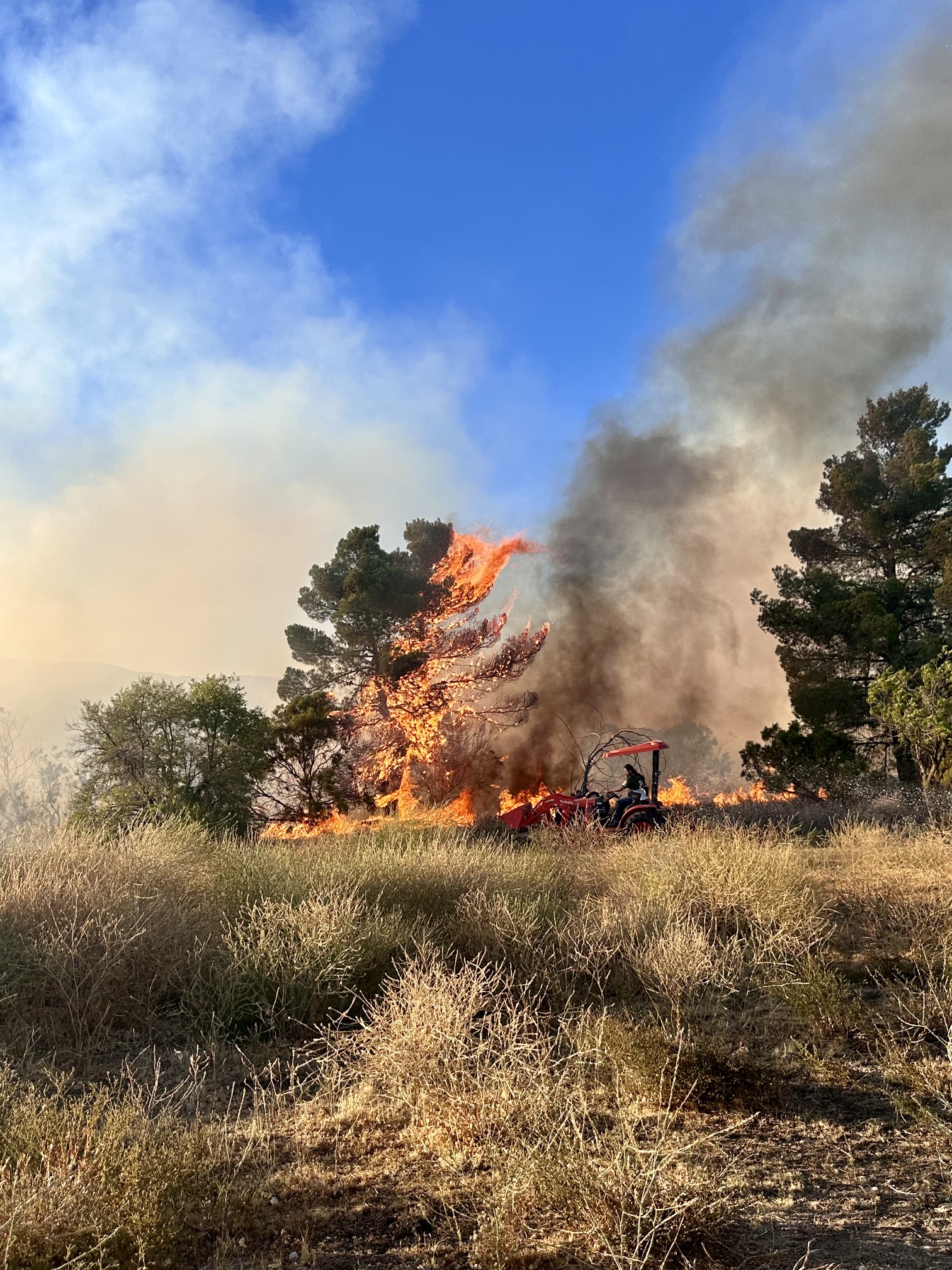 Air and ground crews stop forward progress of Rolling Fire in Anza