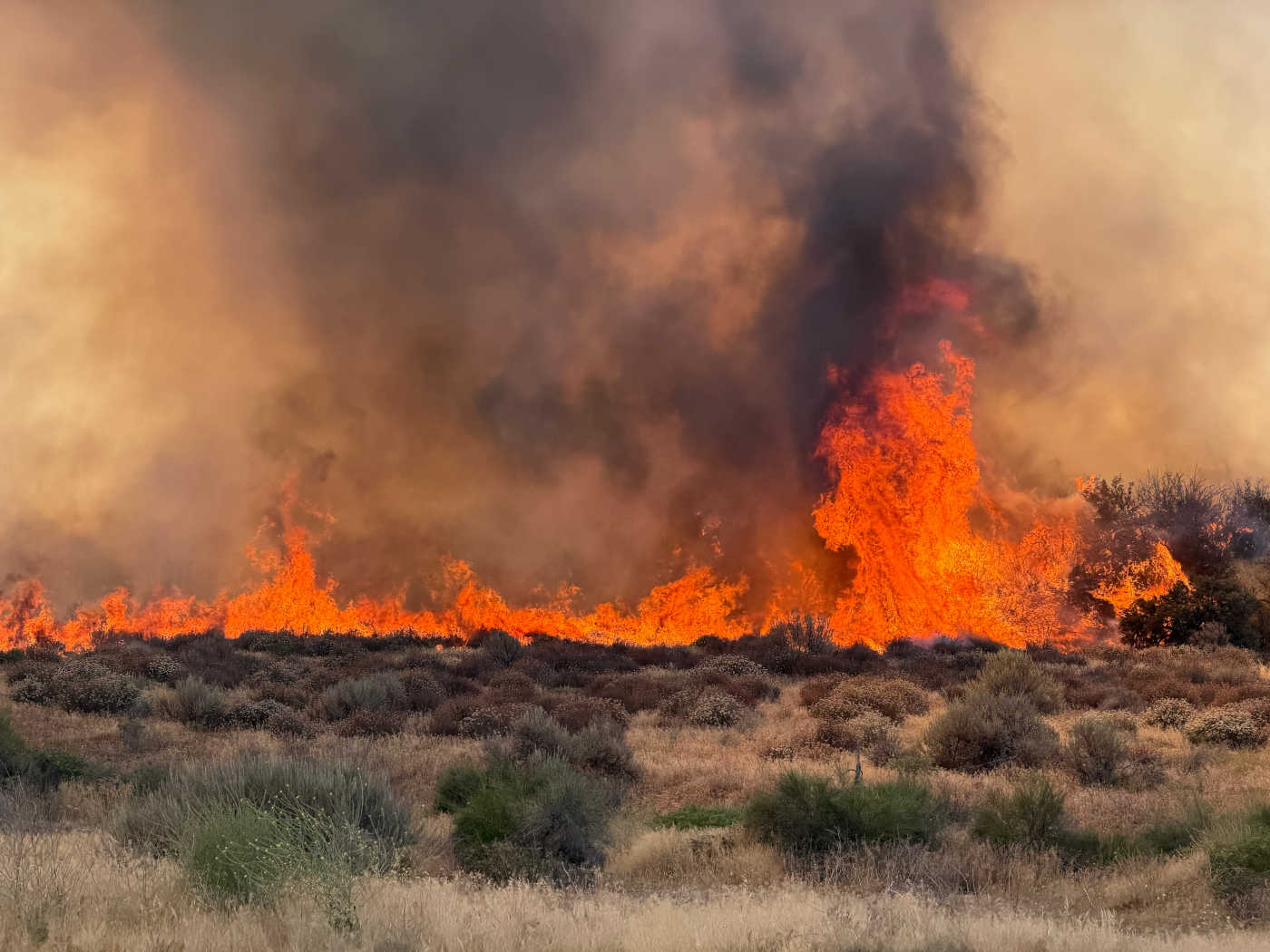 Air tankers, dozers and ground crews hold Kirby Fire to 46.1 acres