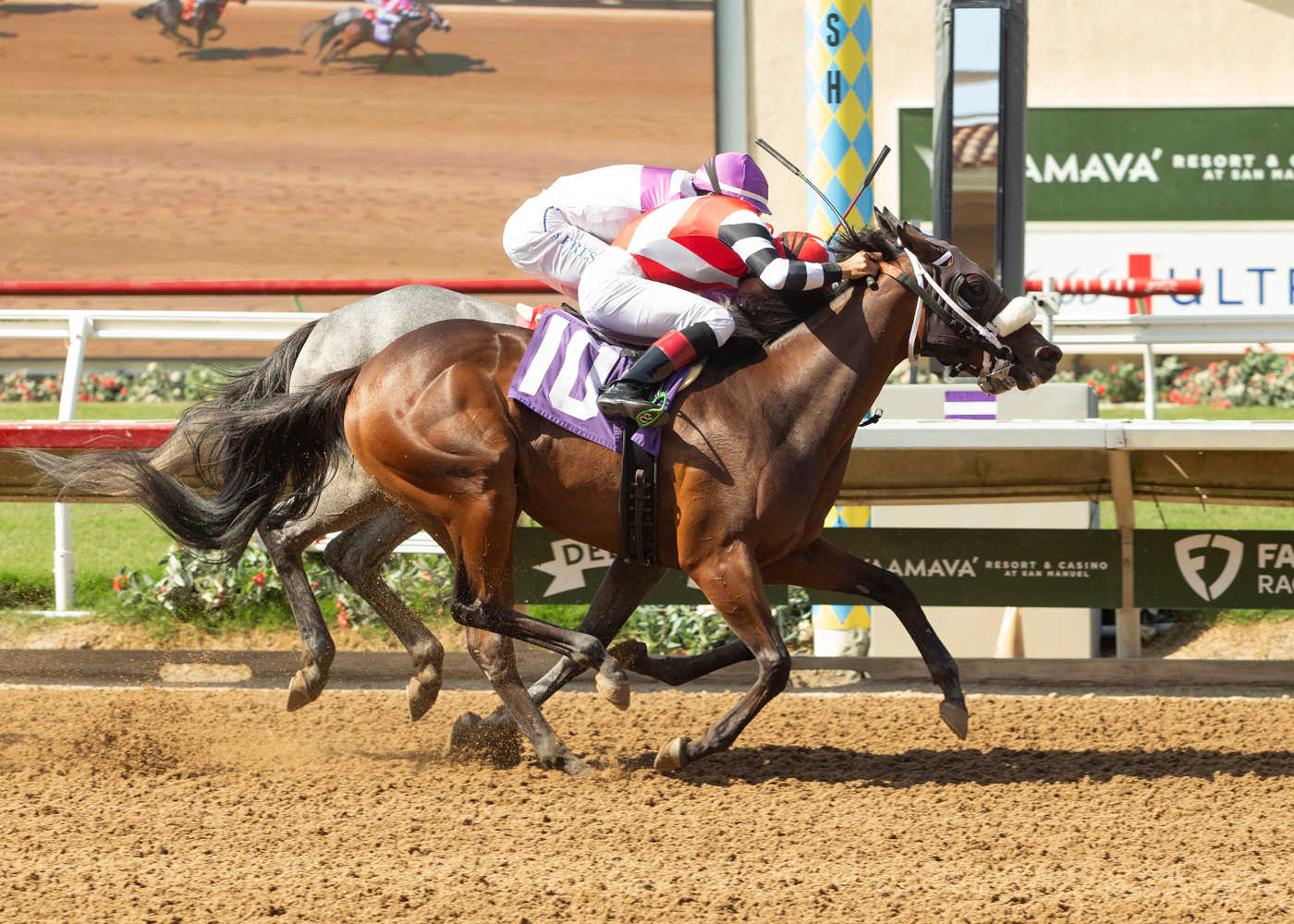 Strident Miss edges Less Please on Opening Day at Del Mar