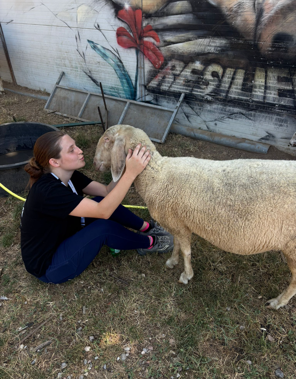 MSJC Student’s Veterinary Internship in Italy Inspires New Career Path