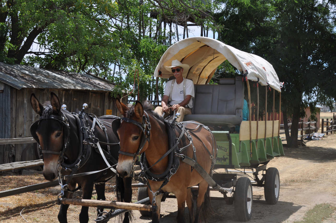 Founders Day celebrates Anza history, community at Hamilton Museum