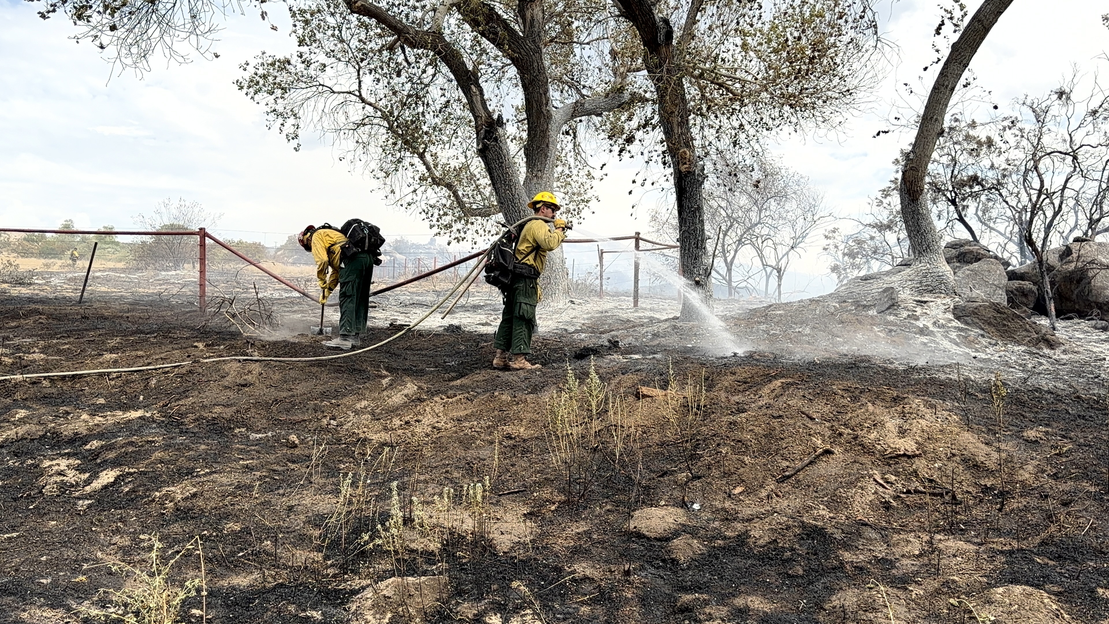 Chia Fire Sparks in Riverside County, Poses Immediate Threat to Structures