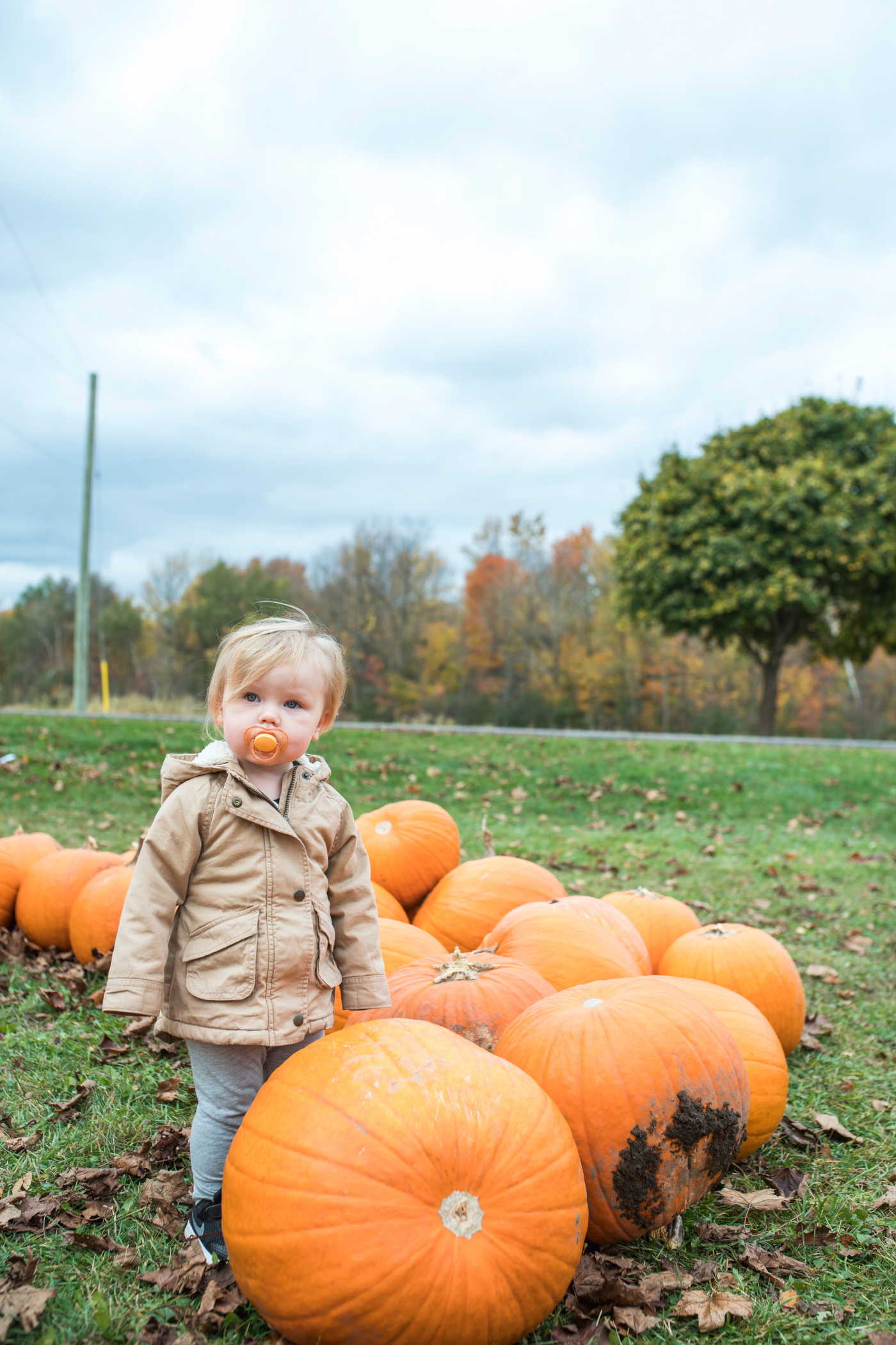 Start your own pumpkin patch before autumn arrives