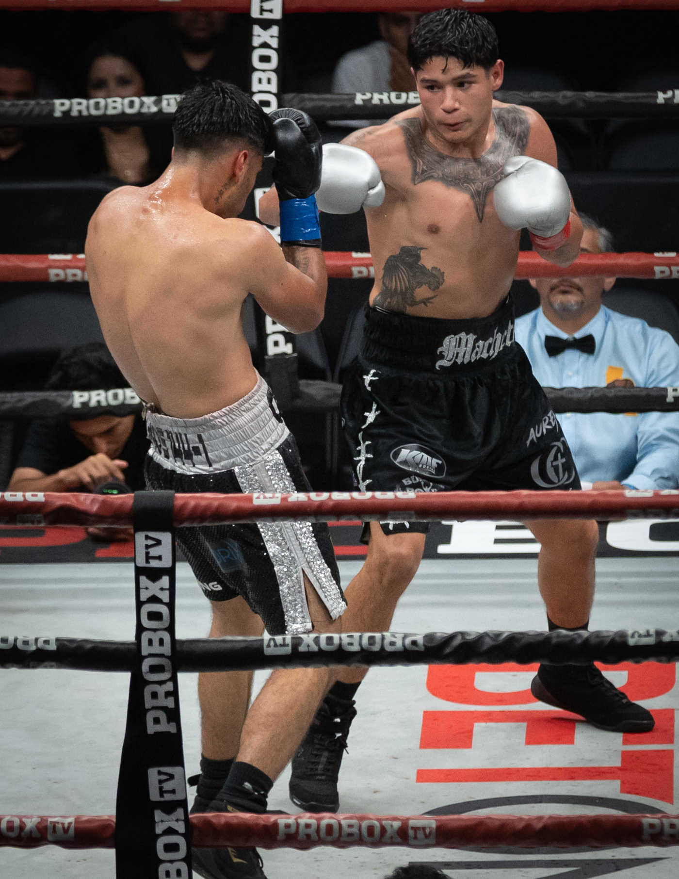 Pro Box TV at Frontwave Arena