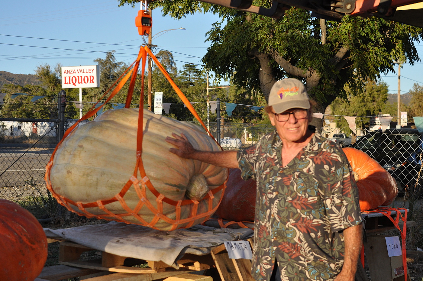 Anza Farmers’ Market first annual Harvest Festival honors Giant Pumpkin winner Ed Wall
