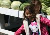 Anza Farmers’ Market receives $5,000 Riverside County Third District CID grant for community improvements
